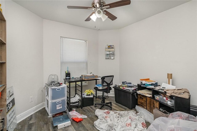 office space featuring ceiling fan and dark hardwood / wood-style flooring