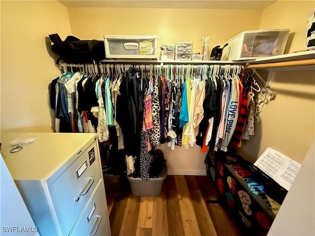 spacious closet featuring dark wood-type flooring