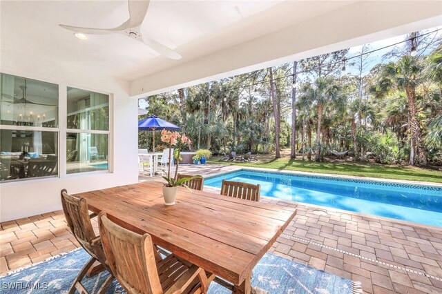 view of pool featuring a patio and ceiling fan