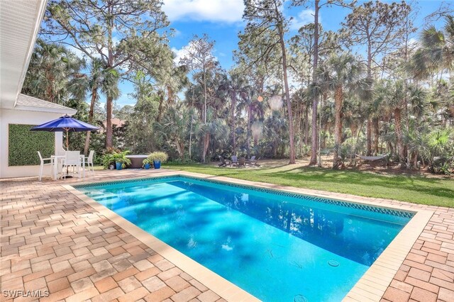 view of pool featuring a lawn and a patio