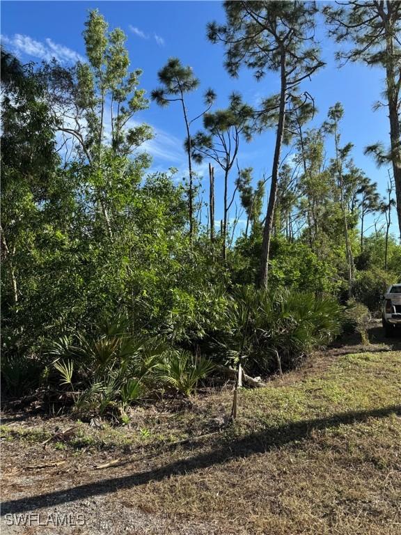 7001 Guava Ave, Bokeelia, FL 33922 - photo 7