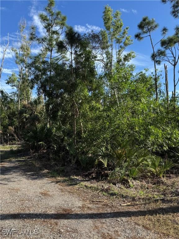 7001 Guava Ave, Bokeelia, FL 33922 - photo 6
