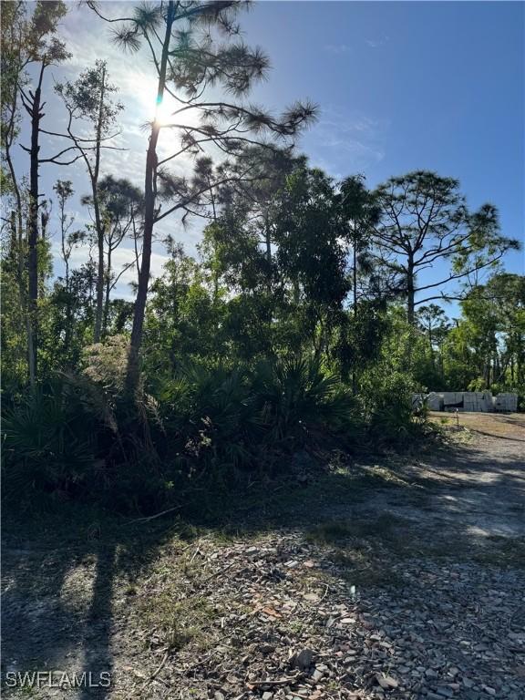 7001 Guava Ave, Bokeelia, FL 33922 - photo 9
