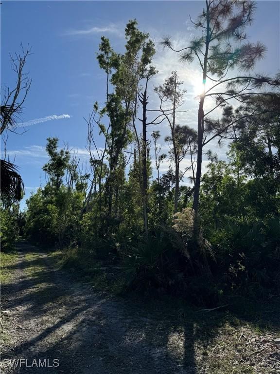7001 Guava Ave, Bokeelia, FL 33922 - photo 10