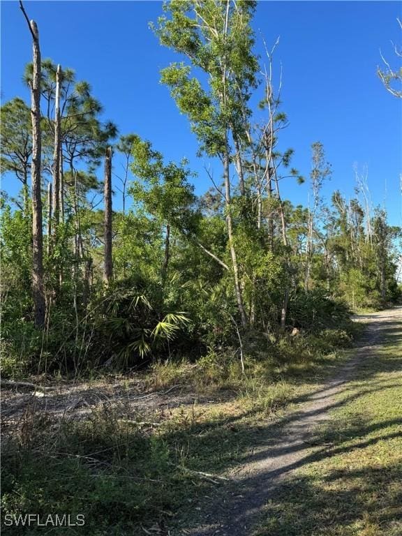 7001 Guava Ave, Bokeelia, FL 33922 - photo 11