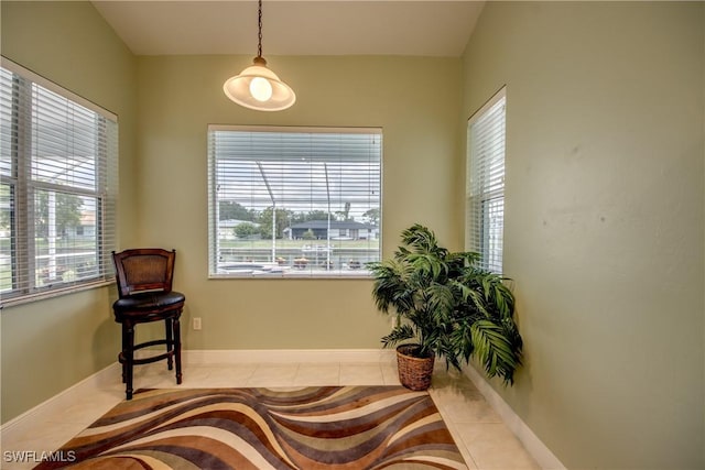 living area with light tile patterned flooring and a healthy amount of sunlight