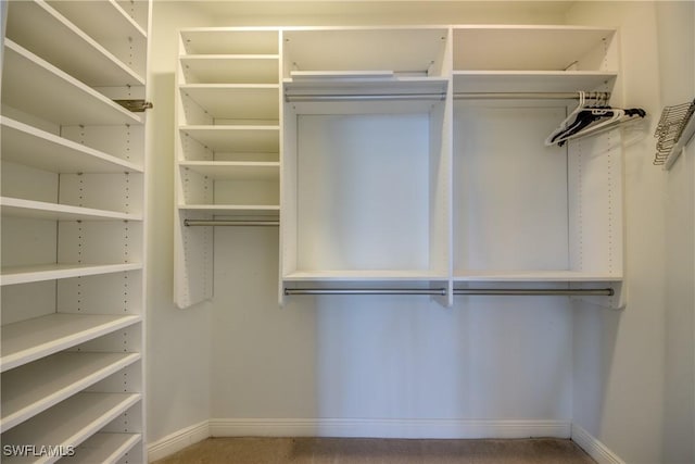 spacious closet with carpet flooring