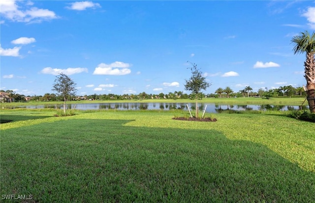 view of yard with a water view