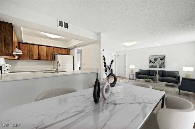 dining room with a tray ceiling, sink, and a textured ceiling