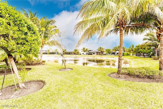 view of yard featuring a water view