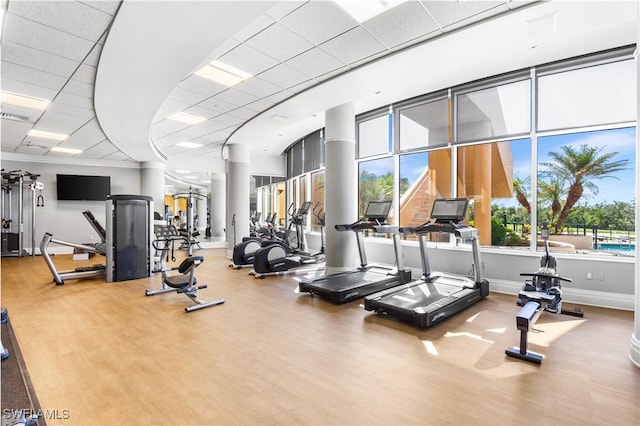 gym featuring a paneled ceiling and hardwood / wood-style flooring