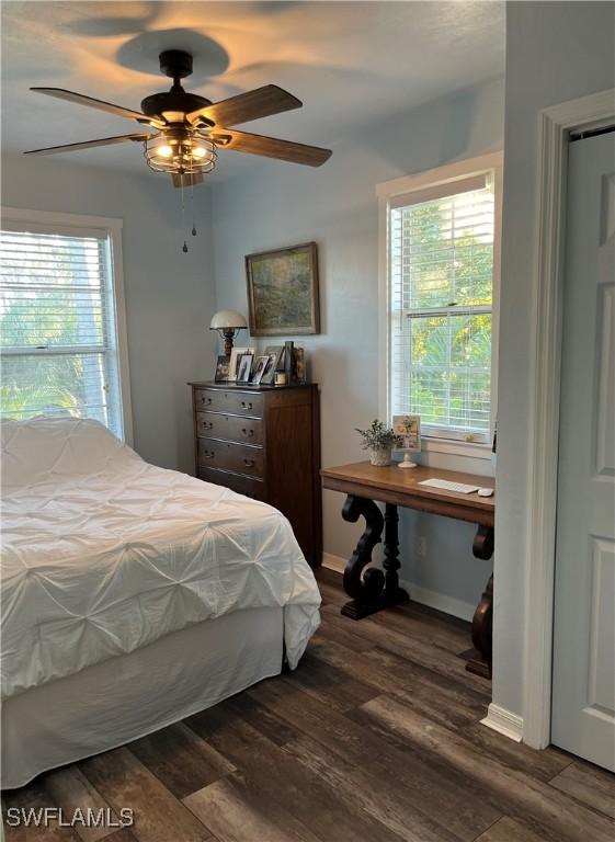 bedroom with ceiling fan, dark hardwood / wood-style flooring, and multiple windows