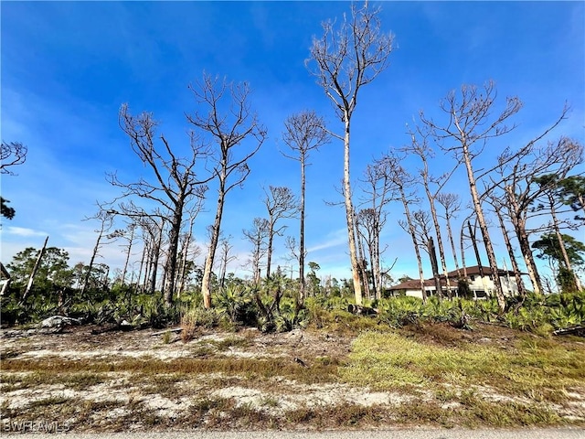 6 Adrift Ct, Placida FL, 33946 land for sale