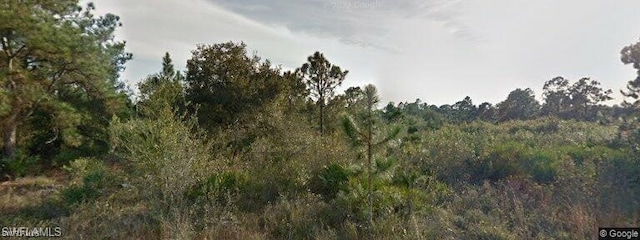 1144 Rankin St E, Lehigh Acres FL, 33974 land for sale