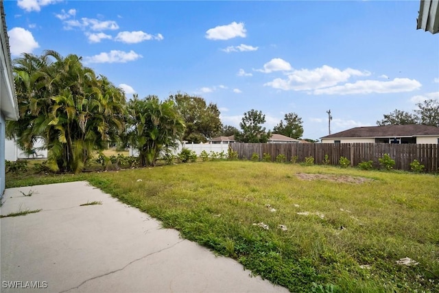 view of yard featuring a patio