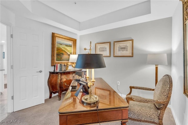 office area featuring light colored carpet