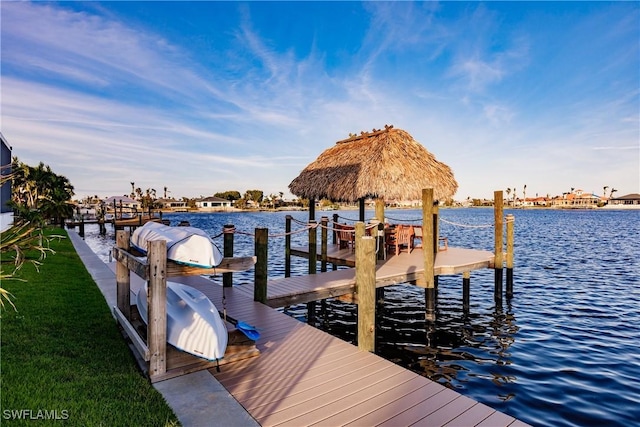 dock area with a water view