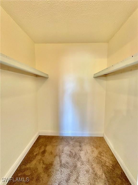 spacious closet with carpet floors