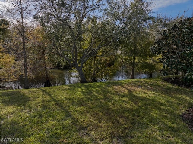 property view of water