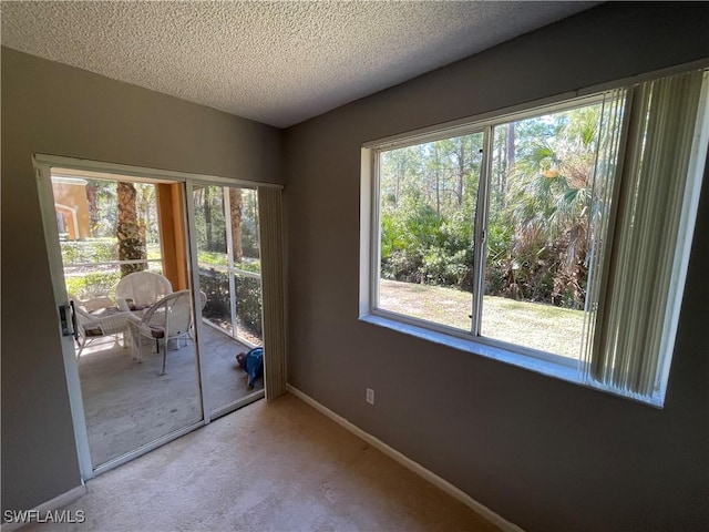 unfurnished room featuring carpet and a textured ceiling