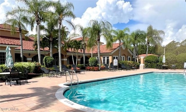 view of pool featuring a patio area