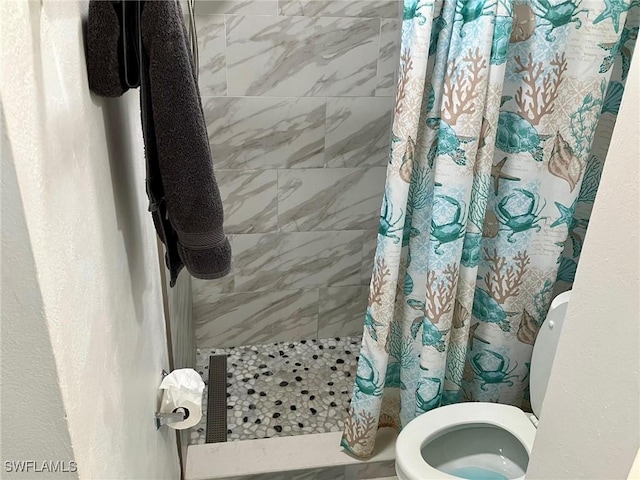 bathroom with a shower with shower curtain and toilet