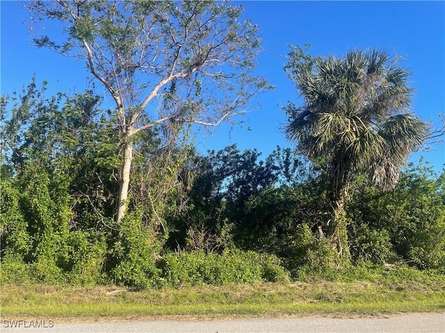 26516 Flower Rd, Punta Gorda FL, 33955 land for sale