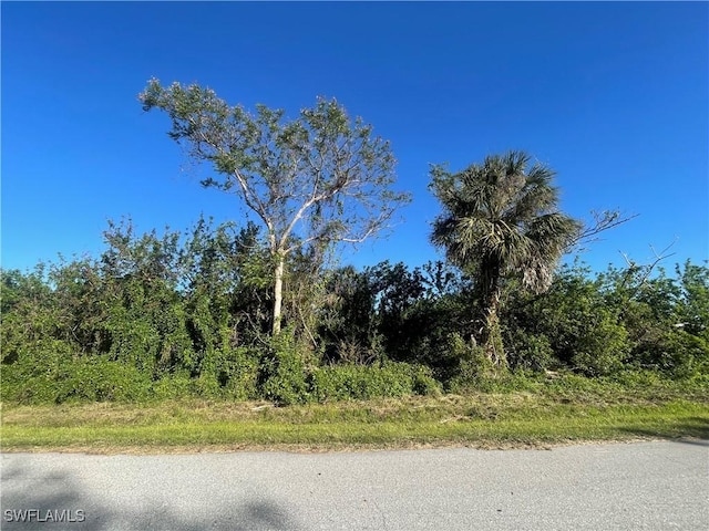 Listing photo 3 for 26516 Flower Rd, Punta Gorda FL 33955