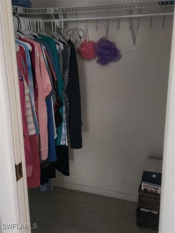 walk in closet with carpet flooring