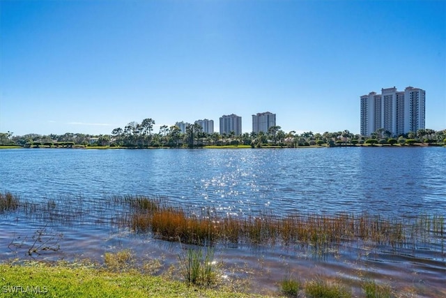 property view of water