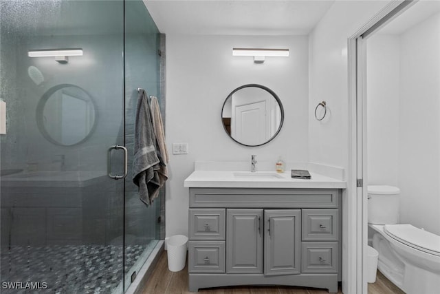 bathroom with hardwood / wood-style flooring, vanity, a shower with shower door, and toilet