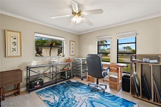 office with hardwood / wood-style floors, ceiling fan, and ornamental molding