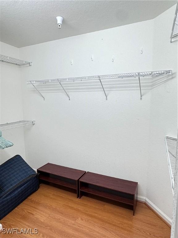 spacious closet with wood-type flooring