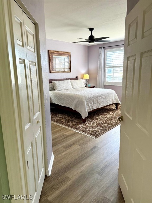 bedroom with dark wood finished floors and a ceiling fan