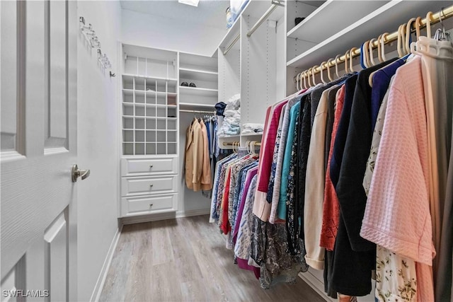 spacious closet featuring light hardwood / wood-style floors