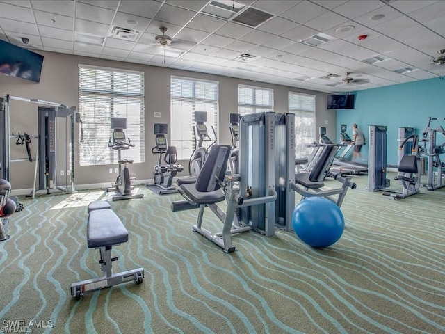 exercise room with carpet flooring, a paneled ceiling, and ceiling fan