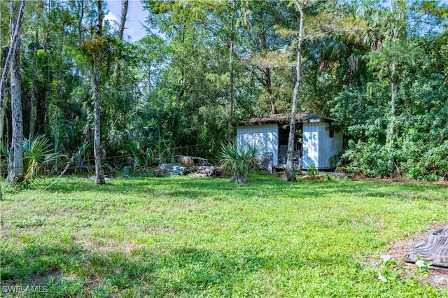 view of yard with a shed