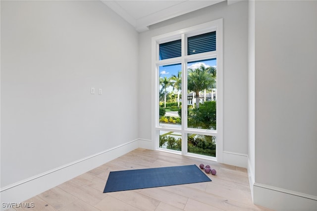 workout area with light hardwood / wood-style flooring and ornamental molding