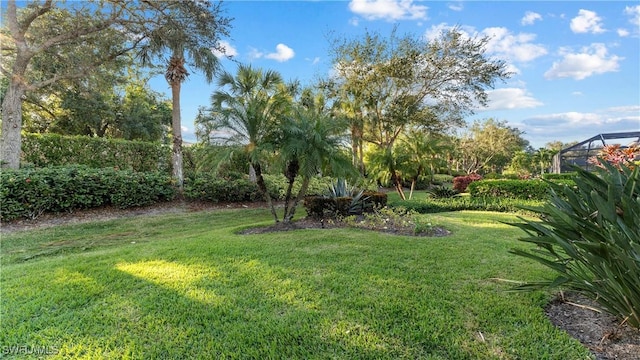 view of yard featuring a lanai