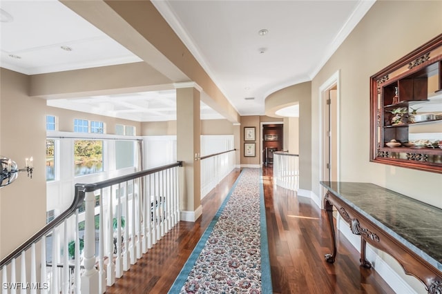 hall with dark hardwood / wood-style floors and crown molding