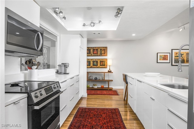 kitchen with hardwood / wood-style floors, white cabinetry, stainless steel appliances, and a tray ceiling