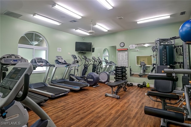 exercise room featuring hardwood / wood-style floors and ceiling fan