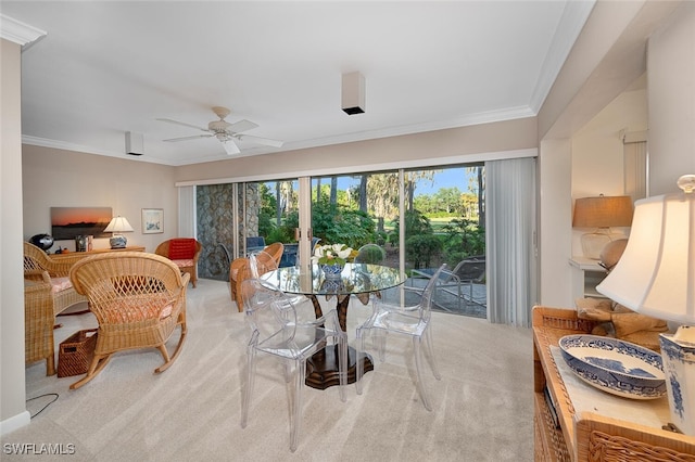 carpeted living room with ceiling fan and ornamental molding