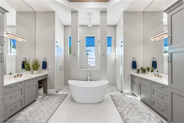 bathroom featuring a healthy amount of sunlight, plus walk in shower, and vanity