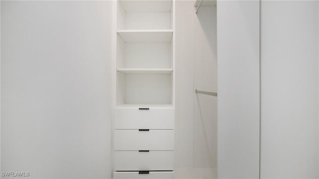 view of walk in closet