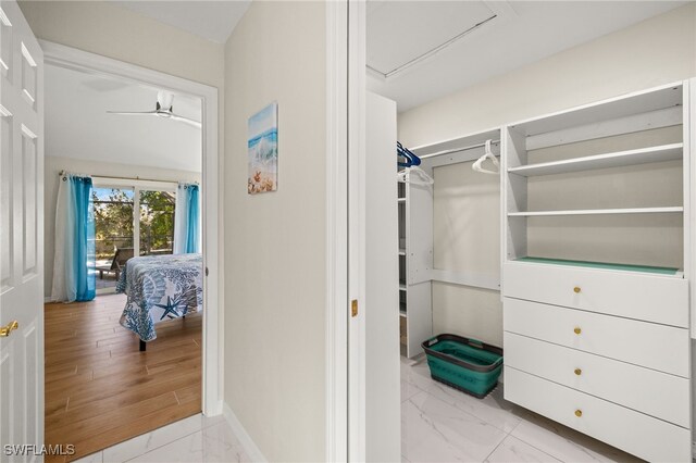 spacious closet with ceiling fan and light hardwood / wood-style floors