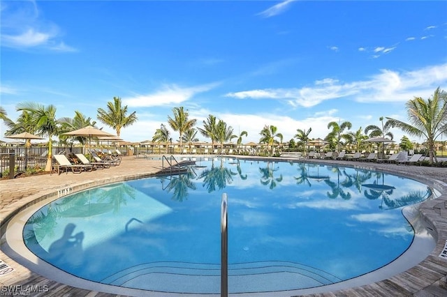 view of pool featuring a patio area