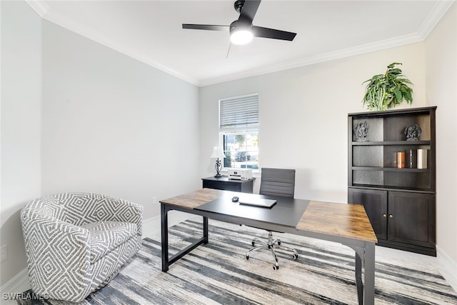 office space featuring ceiling fan and ornamental molding