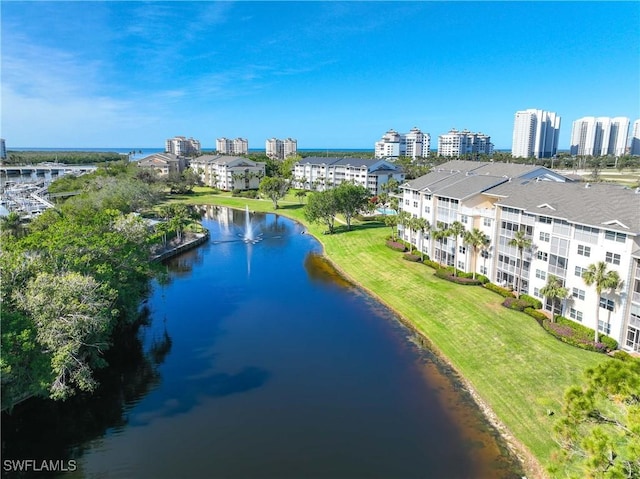 aerial view with a water view