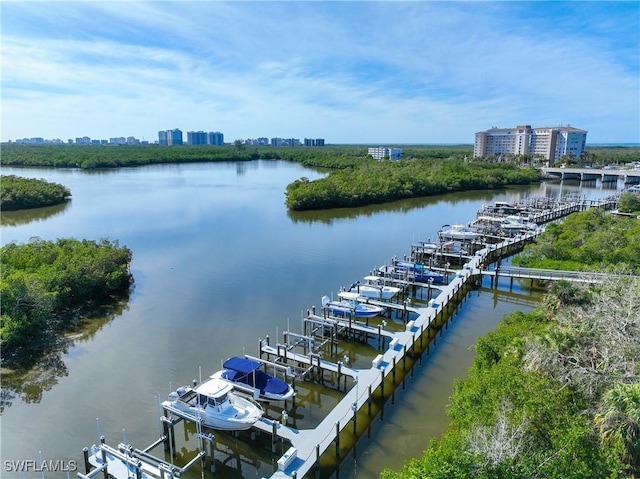 exterior space with a boat dock